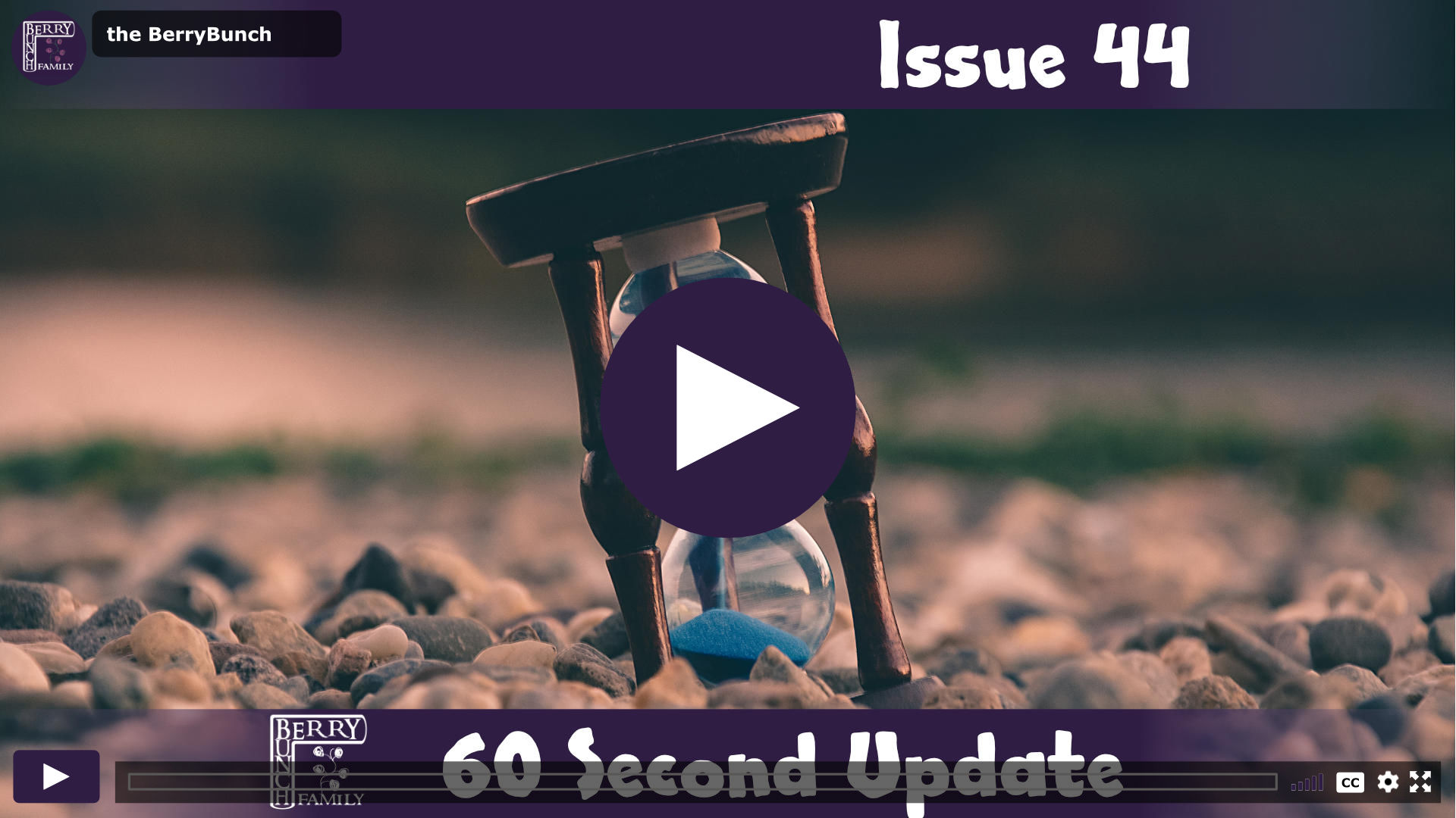 60 Second Update, Issue 44 WP